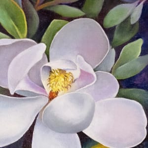 Magnolia Bobby's Tree by Catherine Twomey 