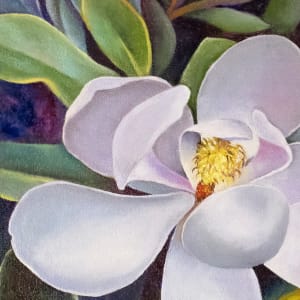 Magnolia Bobby's Tree by Catherine Twomey 