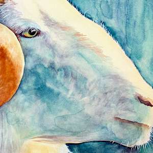 Resilient Ram by Catherine Twomey 