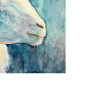 Resilient Ram by Catherine Twomey 