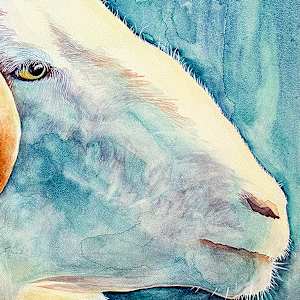 Resilient Ram by Catherine Twomey 