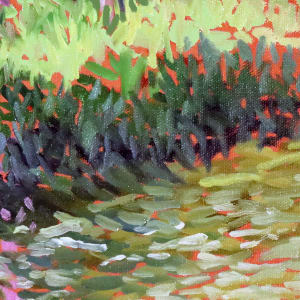 Azalea Extravaganza by Catherine Twomey 