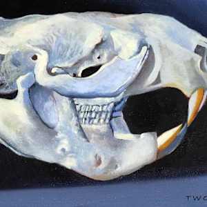 The Beaver's Life by Catherine Twomey 