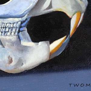 The Beaver's Life by Catherine Twomey 