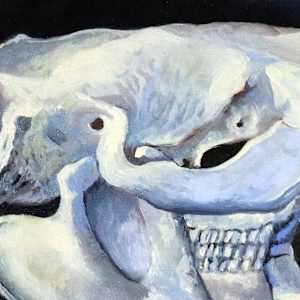 The Beaver's Life by Catherine Twomey 