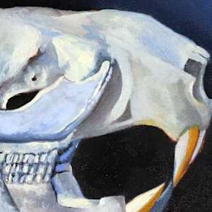 The Beaver's Life by Catherine Twomey 