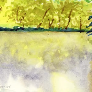 Biltmore Lagoon In Spring by Catherine Twomey 
