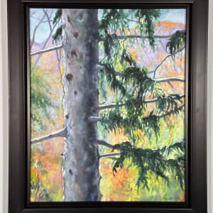 Birds Eye View Summer Spruce by Catherine Twomey 