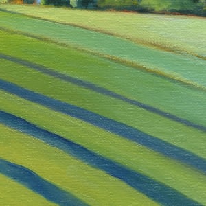 Buck Mountain Vineyards 