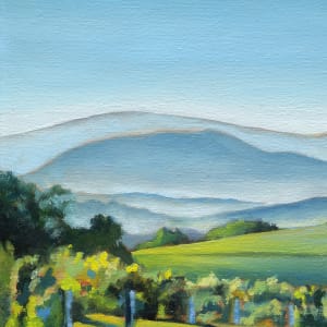 Buck Mountain Vineyards 