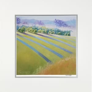 Buck Mountain Vineyards Sofened by Catherine Twomey 