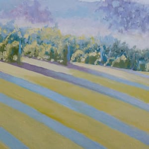 Buck Mountain Vineyards Sofened by Catherine Twomey 