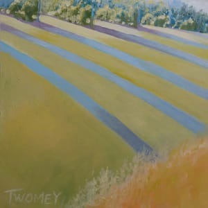 Buck Mountain Vineyards Sofened by Catherine Twomey 