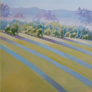 Buck Mountain Vineyards Sofened by Catherine Twomey 