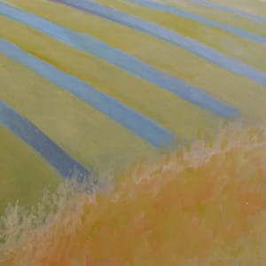 Buck Mountain Vineyards Sofened by Catherine Twomey 