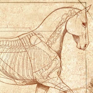 DaVinci Horse: The Piaffe Revealed Square by Catherine Twomey 