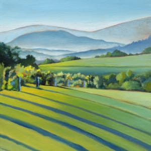 Buck Mountain Vineyards 