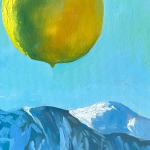 Lemon Levitation by Catherine Twomey 