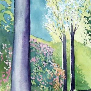 Light of the Azaleas by Catherine Twomey 