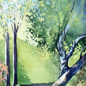 Light of the Azaleas by Catherine Twomey 