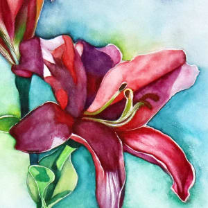 Lily Red Life by Catherine Twomey, Image 3.