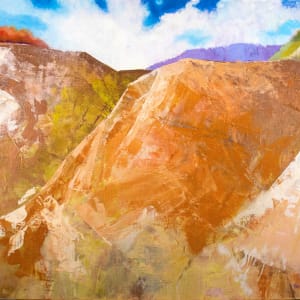 Maple Ridge, Craggy Gardens by Catherine Twomey 