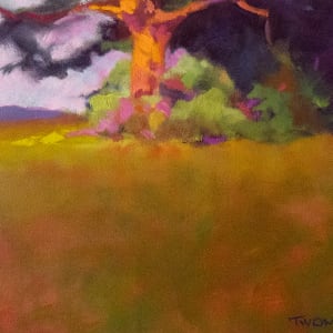 Monumental Oak by Catherine Twomey 