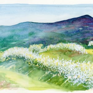 Orchard Pass by Catherine Twomey 