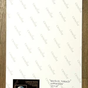 Spring Redbud by Catherine Twomey 