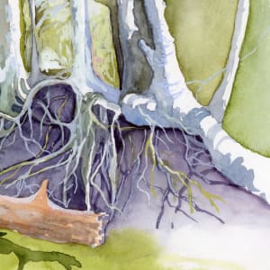 Rocks, Roots and Trees by Catherine Twomey 