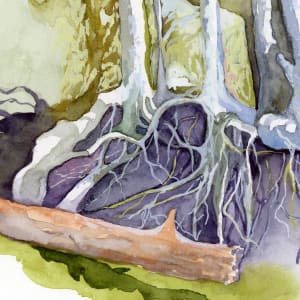 Rocks, Roots and Trees by Catherine Twomey 