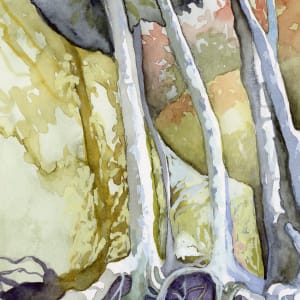 Rocks, Roots and Trees by Catherine Twomey 