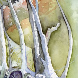 Rocks, Roots and Trees by Catherine Twomey 