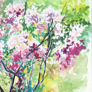 Azalea Spring by Catherine Twomey 