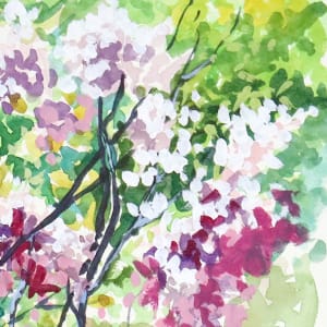 Azalea Spring by Catherine Twomey 