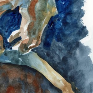 Stallion Challenge by Catherine Twomey 