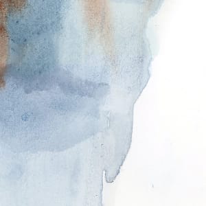 Stallion Challenge by Catherine Twomey 