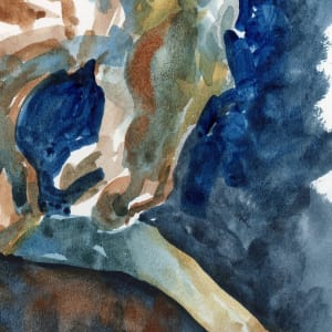 Stallion Challenge by Catherine Twomey 