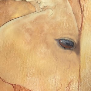 The Equine Poll by Catherine Twomey 