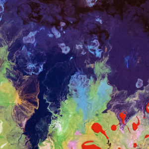 The Wilding by Catherine Twomey 