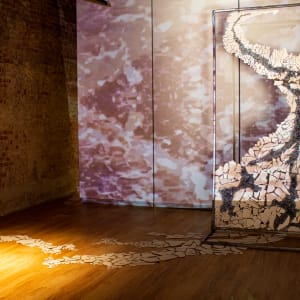 Surface Tension  Image: Installation view, from University Place Gallery 2020