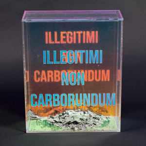Illigitimi Non Carborundum 