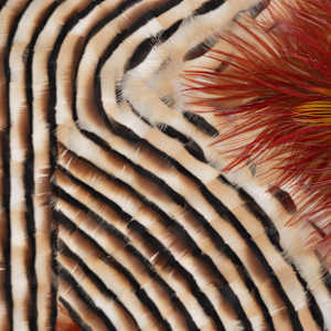 Consummation III by Henar Iglesias 