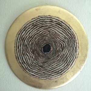 Growth Rings II by Henar Iglesias 