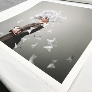 Butterflies, 2/8 by Dasha Pears 