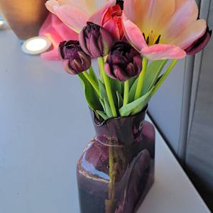 Purple Tulips by Melissa Carroll 