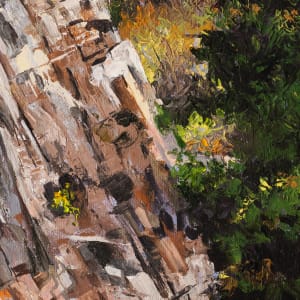 Face of Chickies Rock by Melissa Carroll  Image: Detail