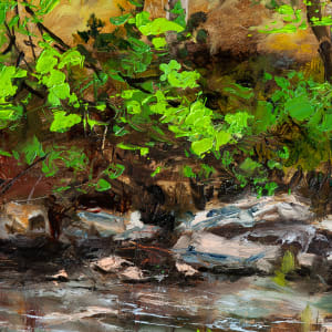 French Creek at St Peters by Melissa Carroll  Image: Detail