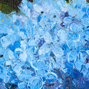 Hydrangeas by Melissa Carroll 