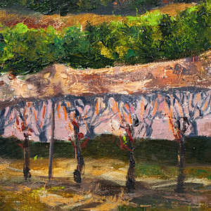 Stony Run Vineyard by Melissa Carroll 